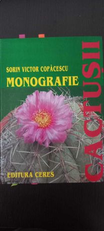 Cactușii, Sorin Victor Copăcescu