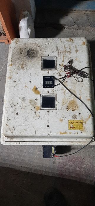 Инкубатор сатылады.