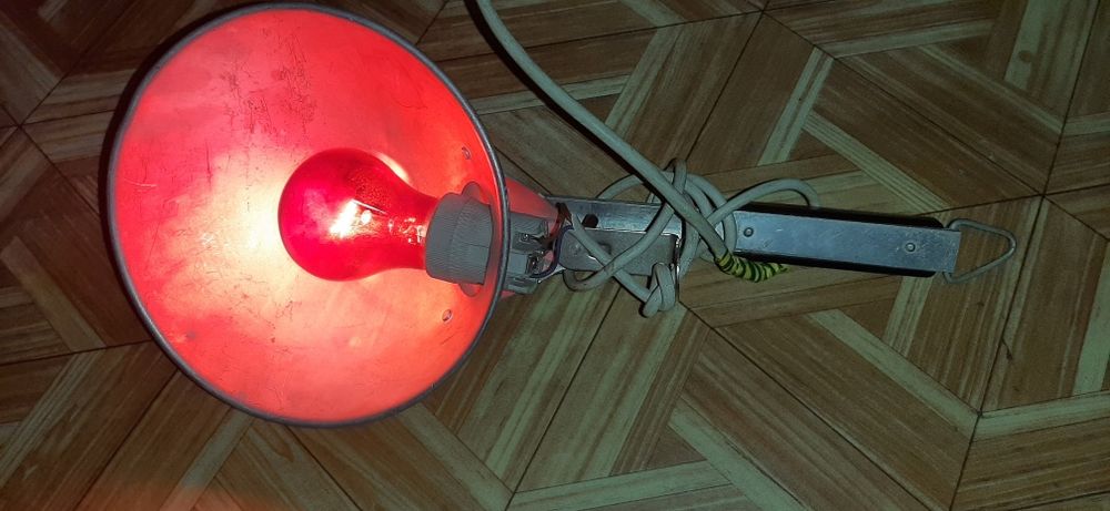 Лампа лечебная инфракрасная, СССР, даволаш, кизил