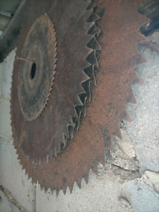 Диски на пилораму