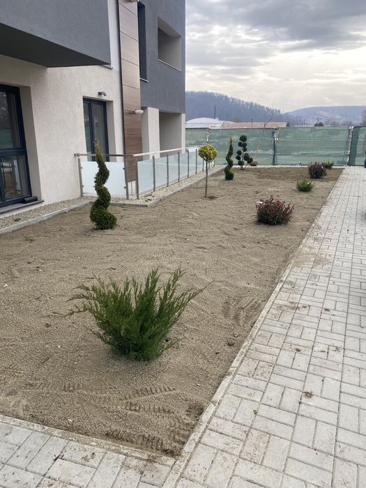 Decorăm grădini cu plante si gazon