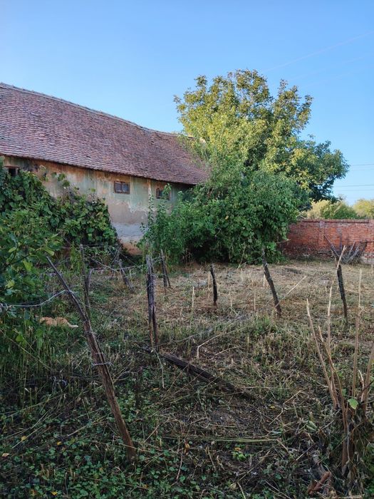 Teren 1000 mp + Casa in Pădureni
