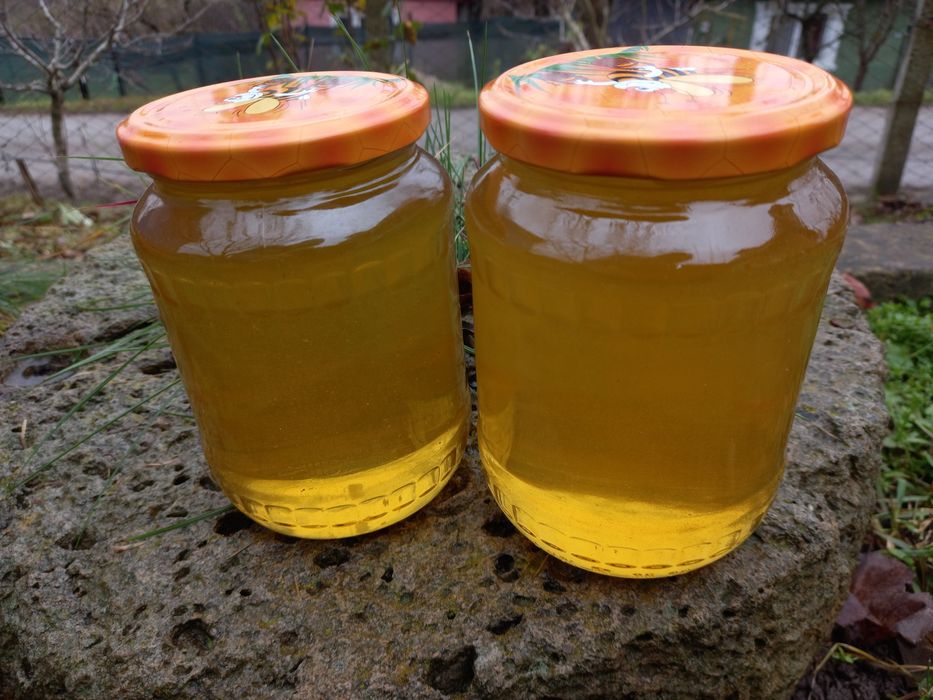 Miere de albine Salcam