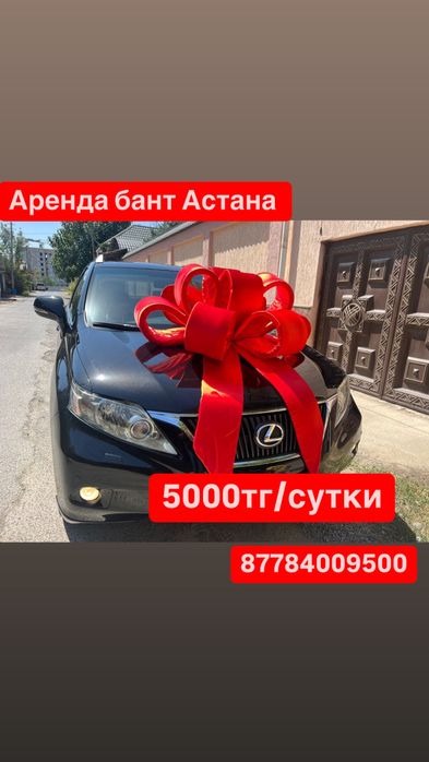 Аренда прокат продажа  бант для машины бантик лента