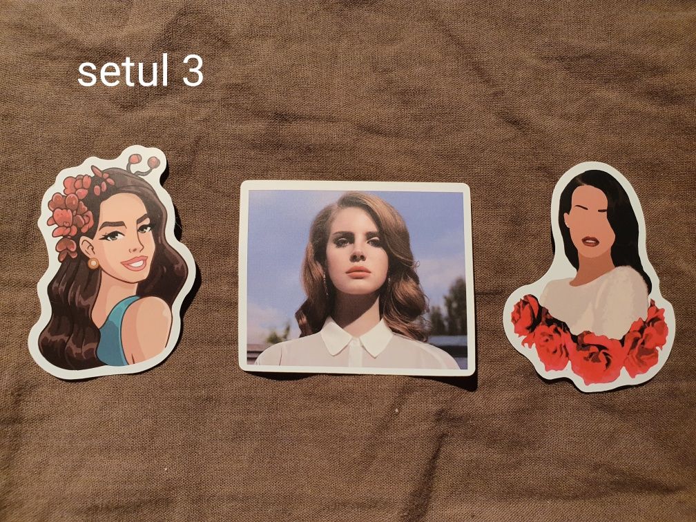 abtibilde stickere lana del rey