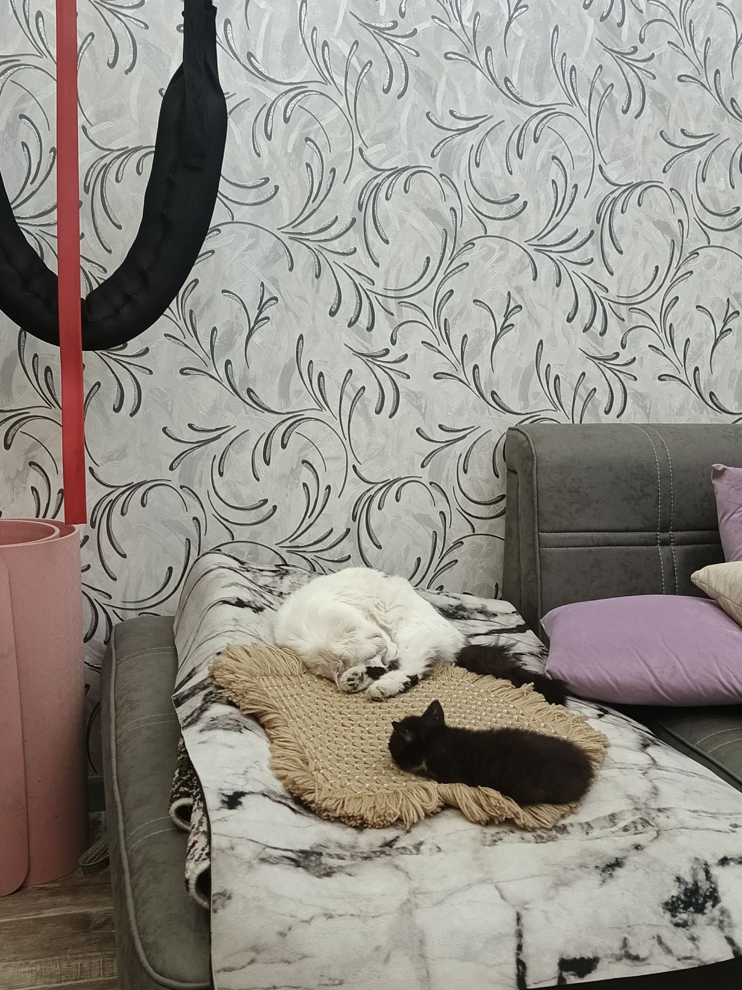 Отдаем в хорошие ручки мальчишку