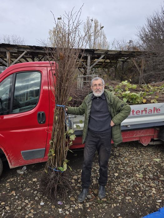 Nuc.Alun.Castan.Trandafiri dulceata.Paulownia.Piersic.Prun.Afin.Coacaz