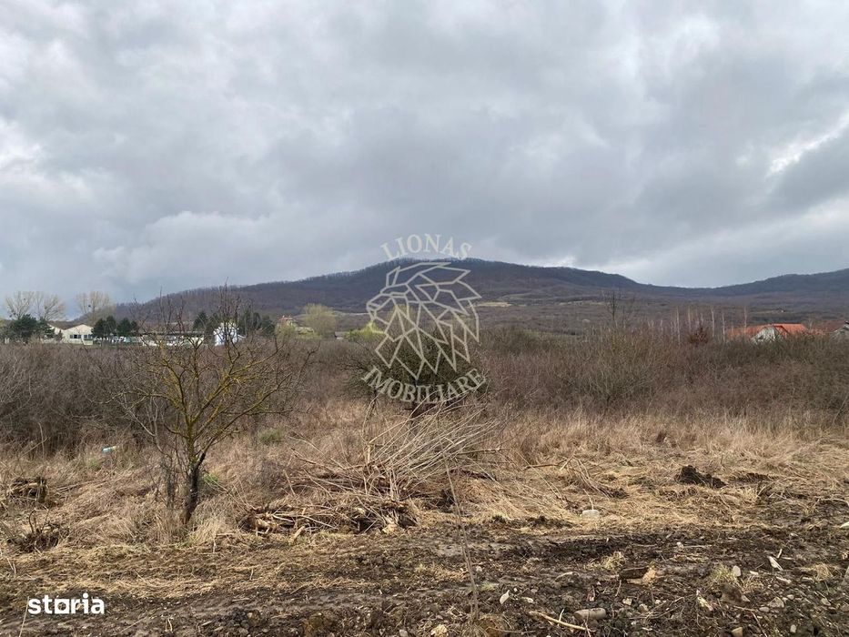 Teren 12,719 mp cu deschidere la DN17-ideal hala/parcare-Crainimat