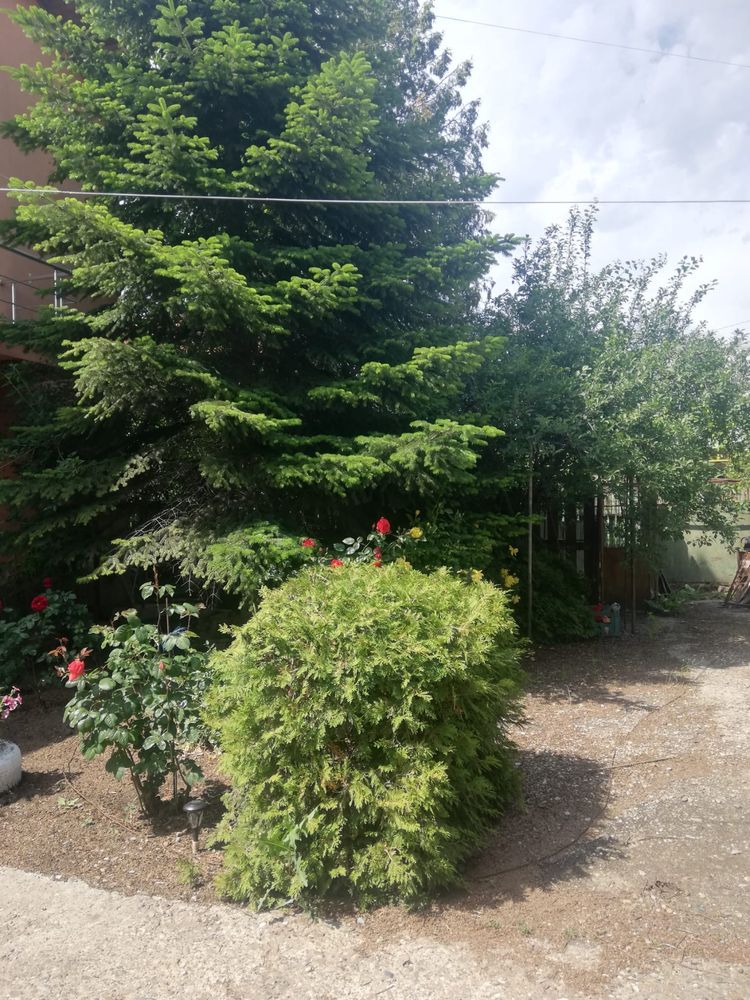 Vila P+1 Vanatori la 163000 euro