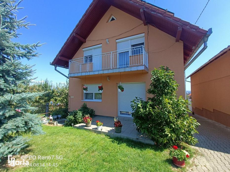 Casa -vila de vanzare in Reghin