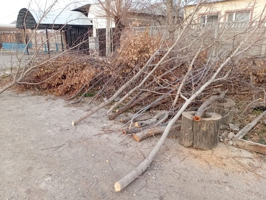 Дрова бесплатно самовывоз