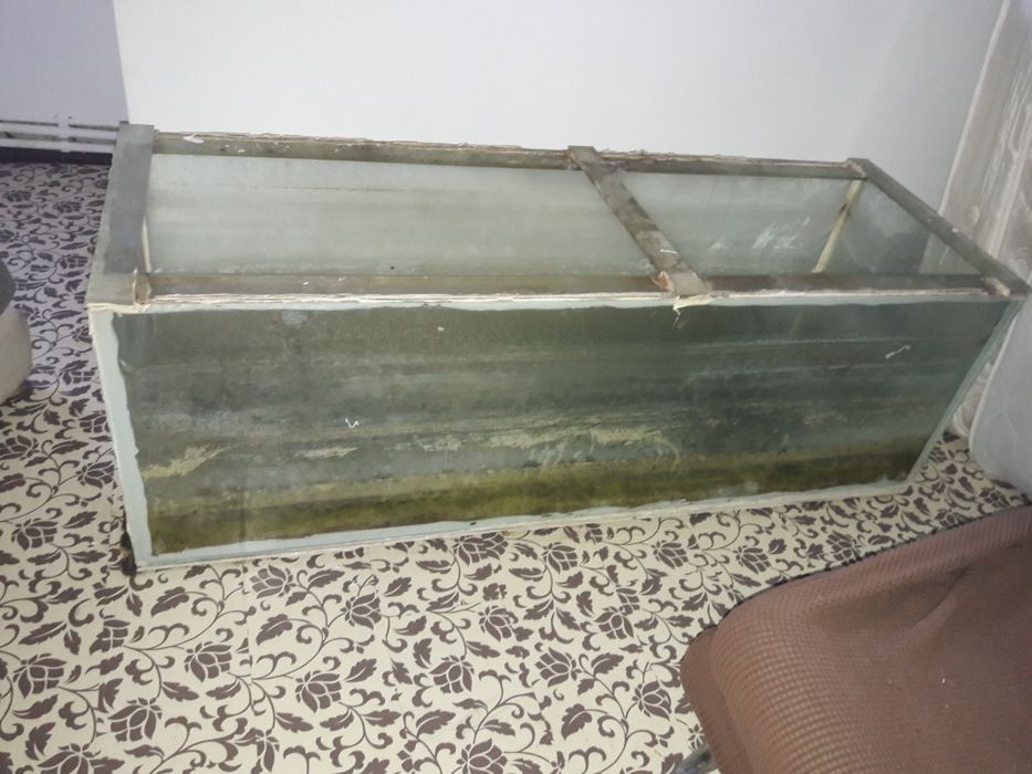 Vând 3 acvarii- diferite mărimi