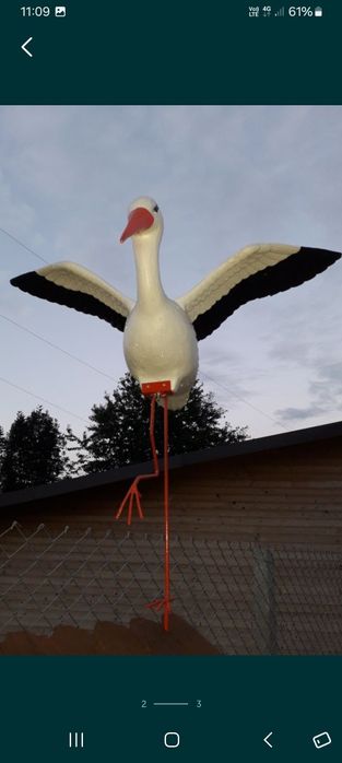 Barza cu aripile deschise