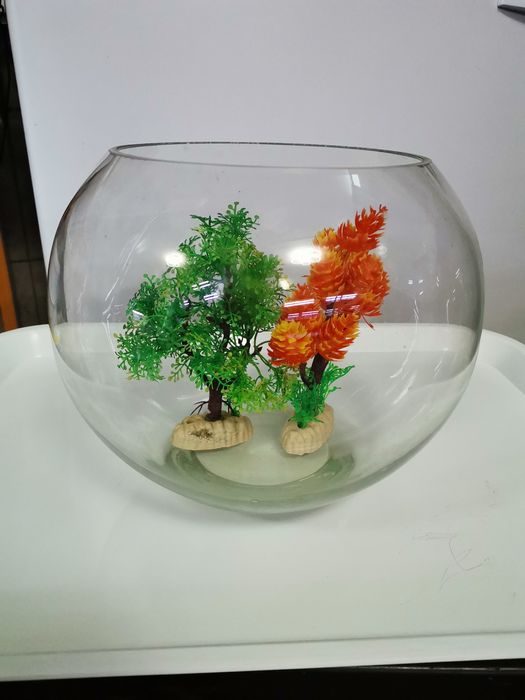 Acvariu bol pentru pești / creveți