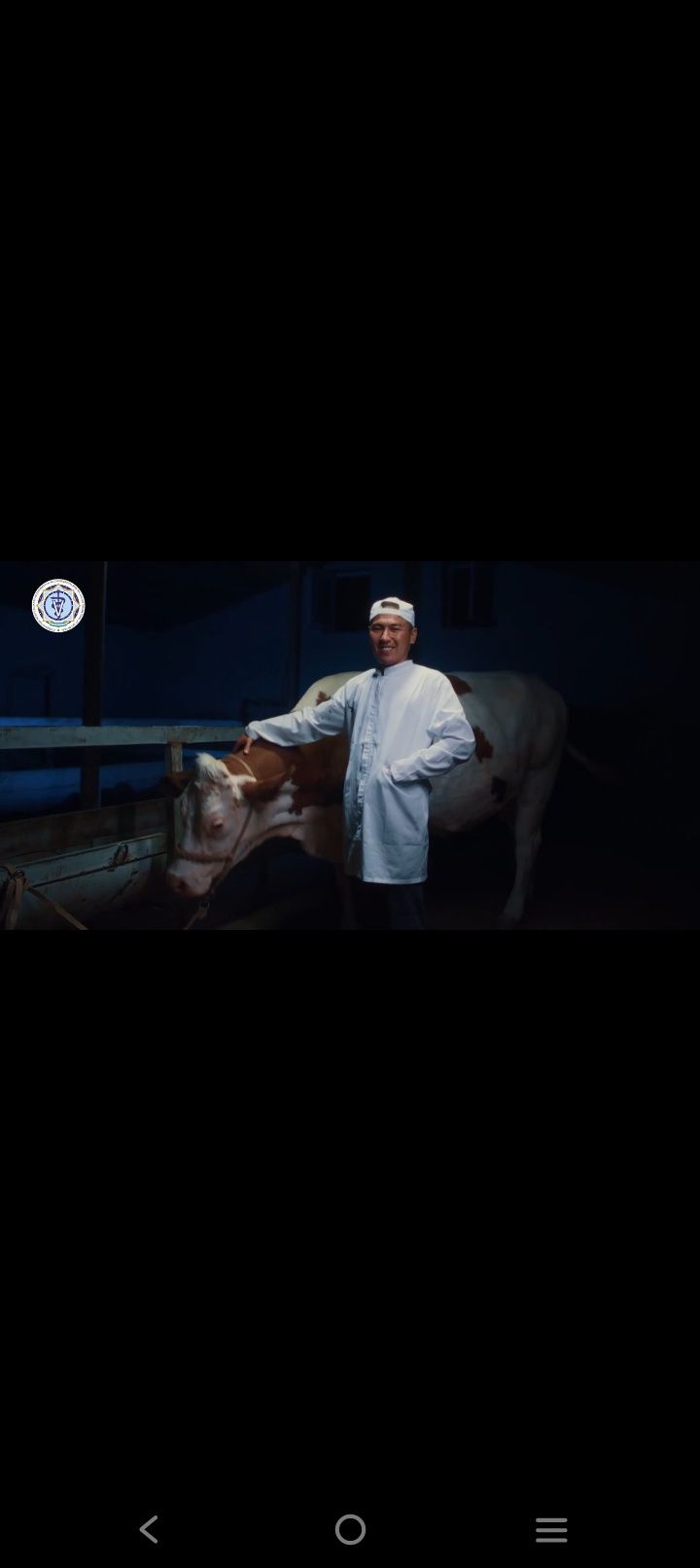 Qoʻyi-echkillar juni olamiz va veterinariya xizmat ichiga