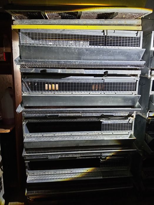 Продам перепелиные клетки