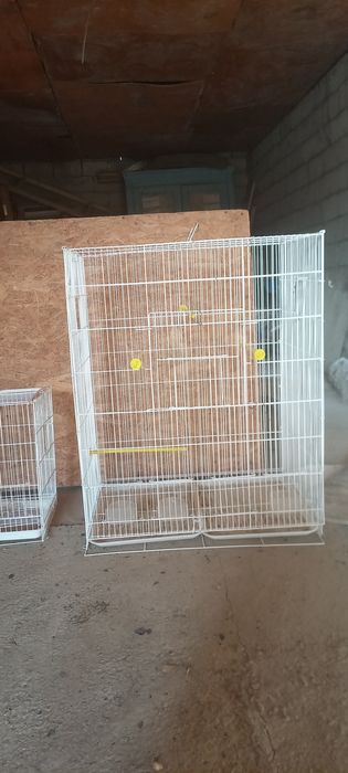 Клеткалар сатылады