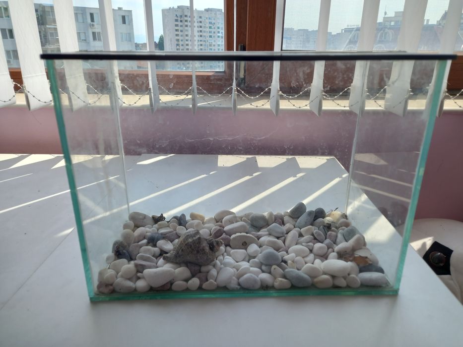 Стъклен аквариум с капак за рибки пълен комплект
