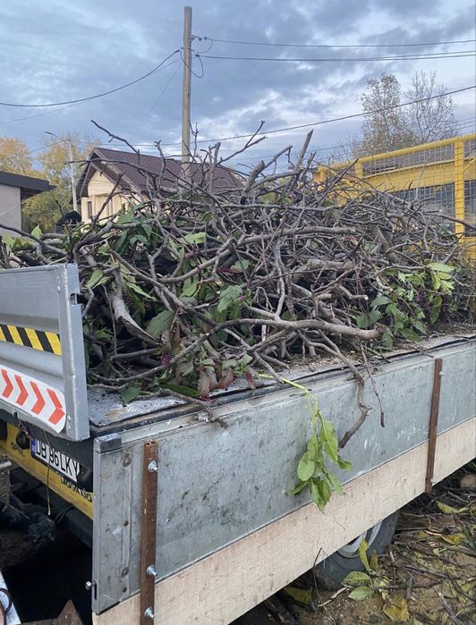 Debsrasari desuri moloz mobila etc