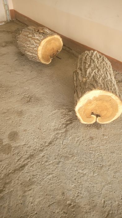 Tut daraxti o'tini