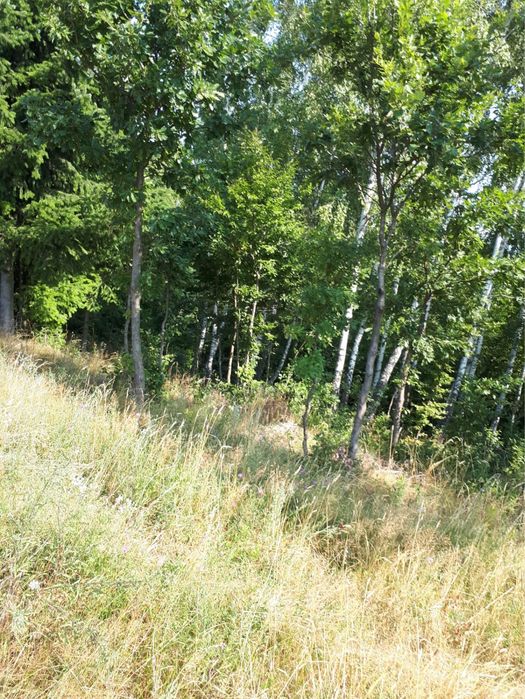 Vand teren comuna Halmășd, cătunul Fufez