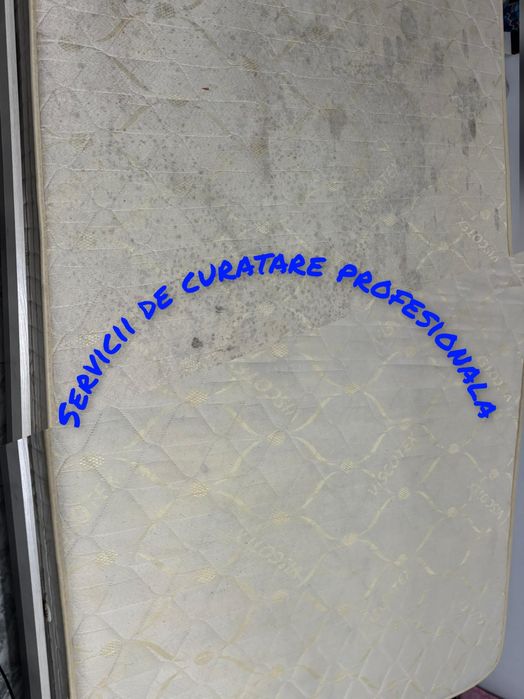 Curatarea profesionala a canapelei/ saltelei  de pat