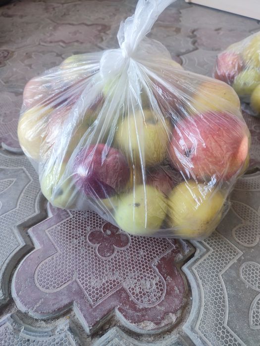 Яблоки продам не дорого