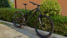 Enduro Carbon Specialized Stumpjumper Evo 2024