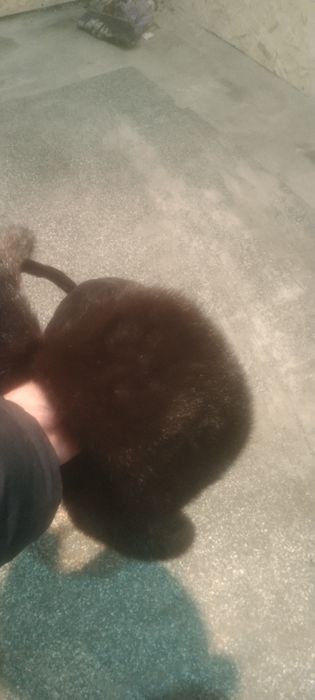 Продам норковую шапку