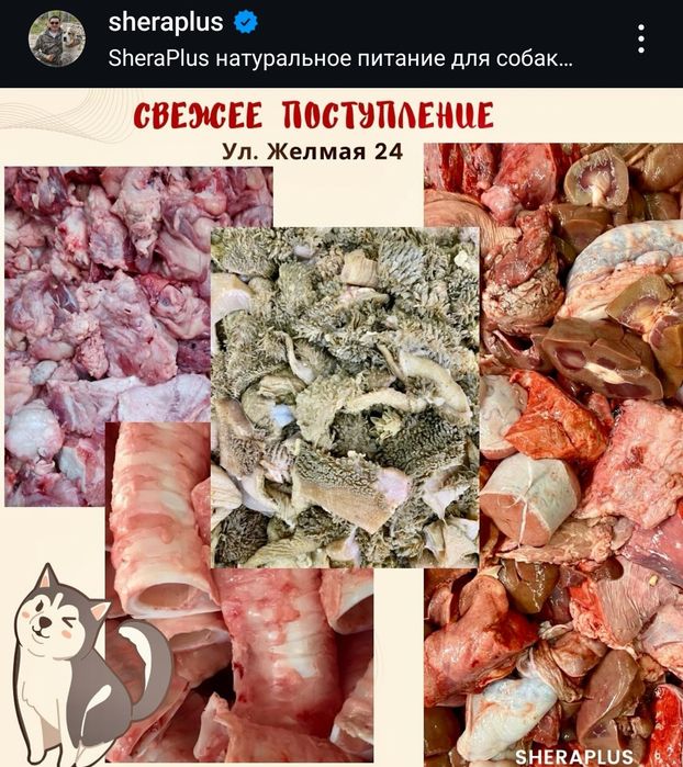 Обрезки мяса говядины на корм мясо для собак кошек