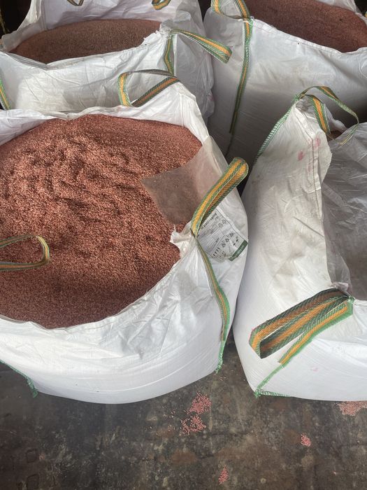 Vand samanta de orzoaica de toamna tratata si selectata