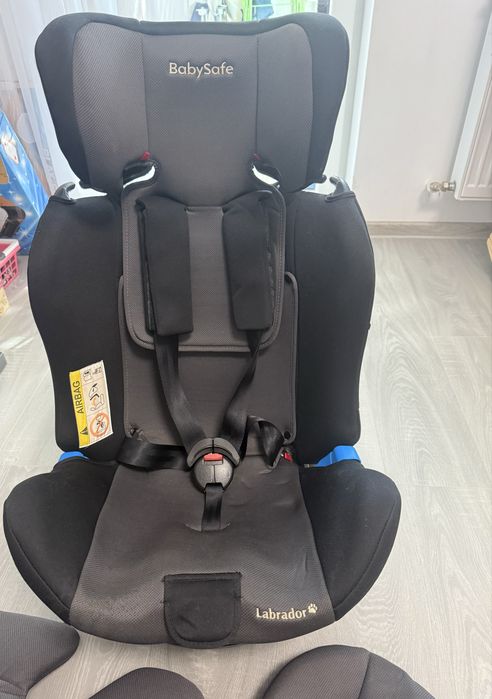 Scaun Auto BabySafe Labrador