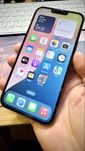 iPhone 13 Pro Max 1TB Alpine Green