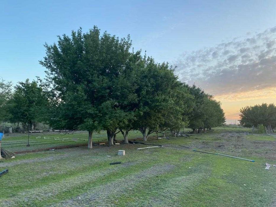 Черная речкадан 24 соттық жер 3 бөлмелі үйімен сатылады