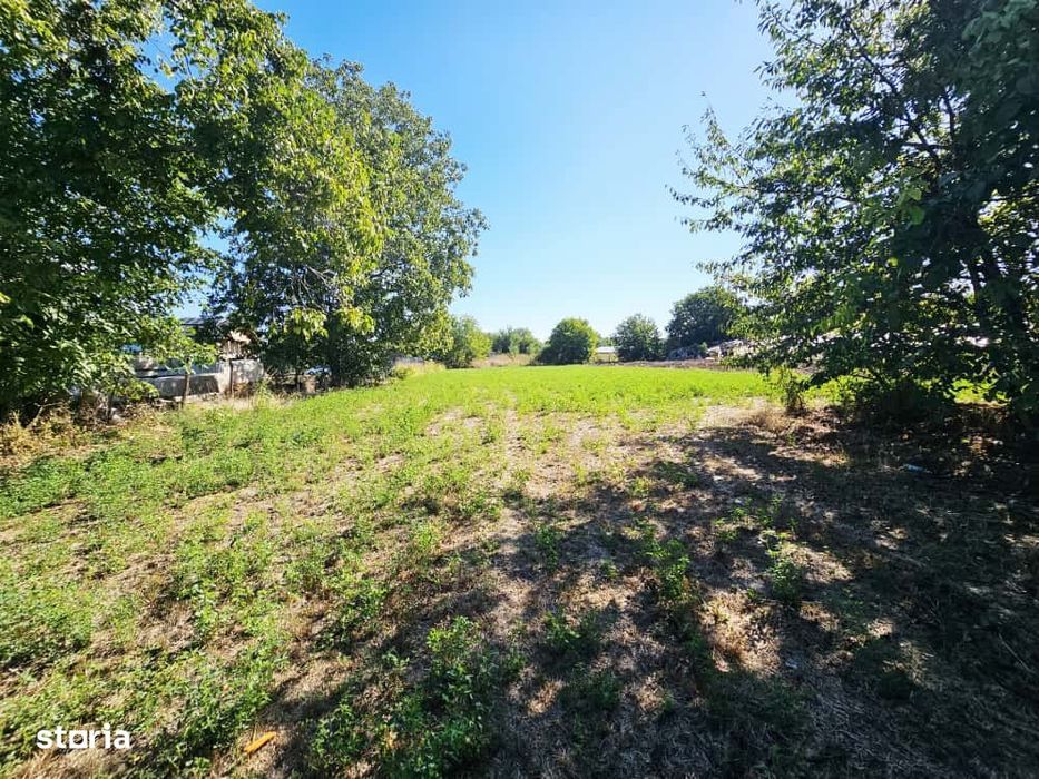 Teren intravilan 1.585 mp, cu utilități la hotar –Gherghița–Ungureni