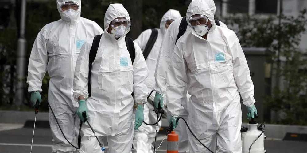 Акция от 4000 дезинфекция дезинсекция клоп таракан мышь насеком мураве