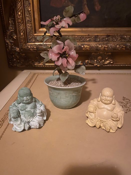 Deosebit set- bonsai jad și pereche Buddha -, Olanda