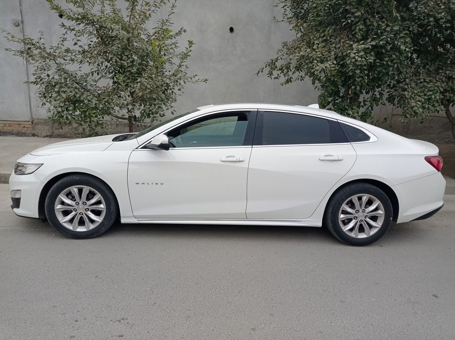 Malibu 2 Primyer