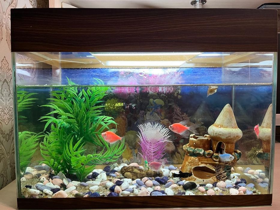 Аквариум 20литр с 8 рыбками