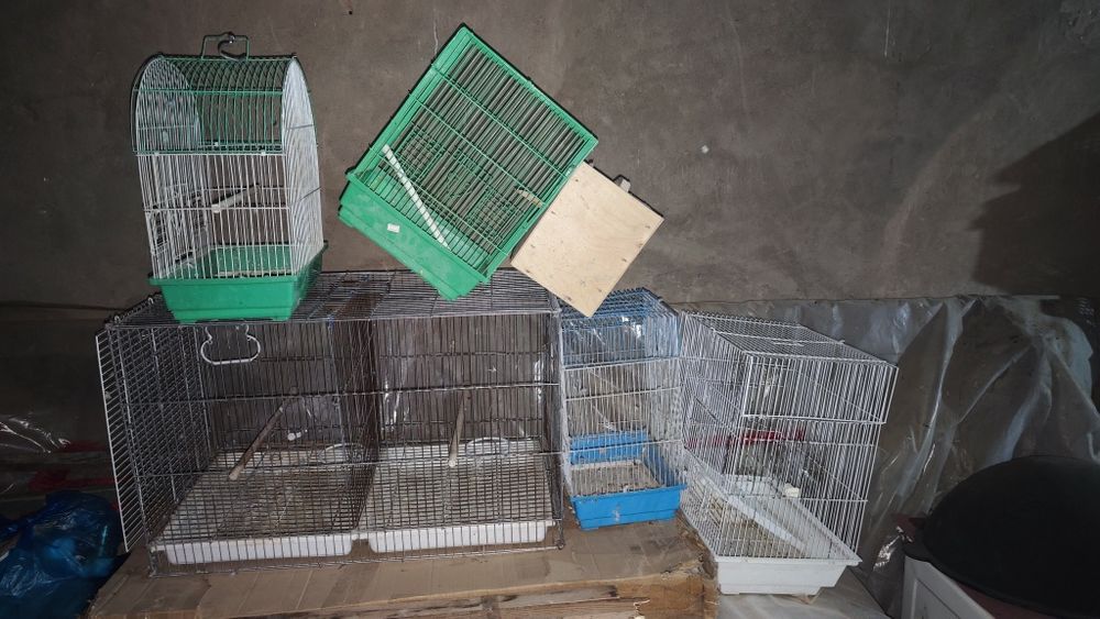 Bu qafaslar sotiladi