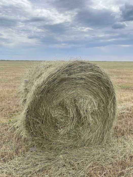 Сено продам , шоп сатамын с доставкой 9000