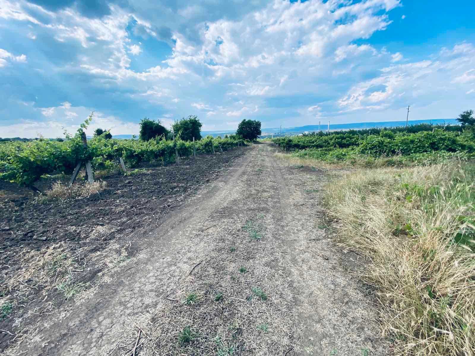 Поземлен имот със статут на лозе, с. Константиново