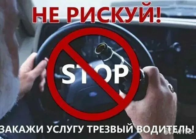 Трезвый водитель