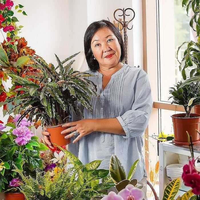 Уход за комнатными растениями