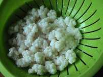 Ciuperca Tibetana pentru kefir