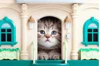 Передержка - гостиница для кота, кошки или котят.