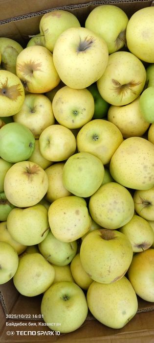 Продам яблоки с дефектами