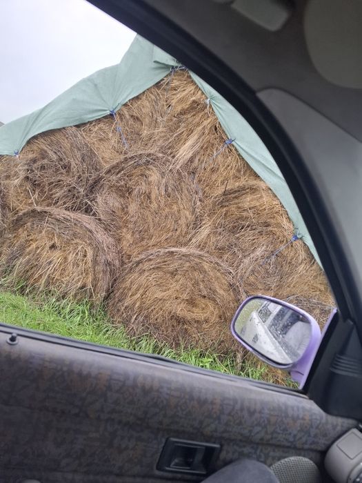Vand schimb baloti rotunzi de fan