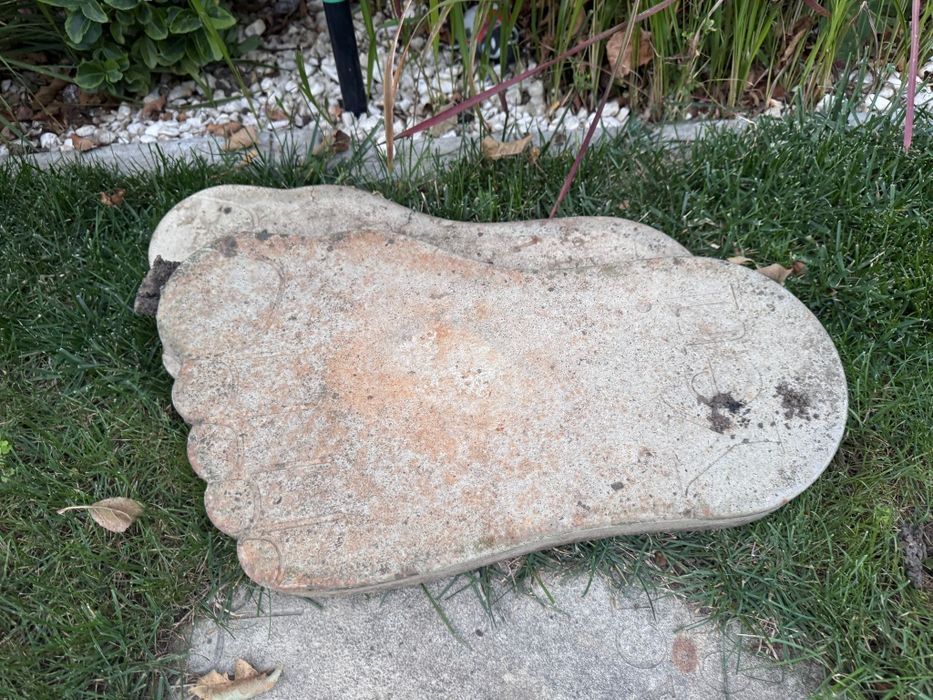 Pavele gradina 15 bucati