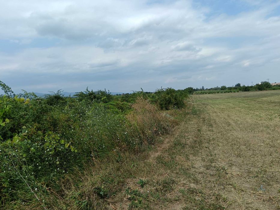 Teren intravilan și extravilan